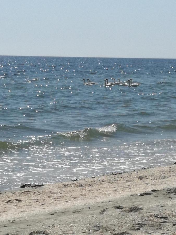 Mamaia Summerland Mrs Exterior foto